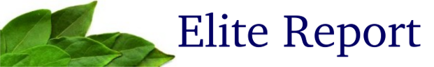 Elite-Report